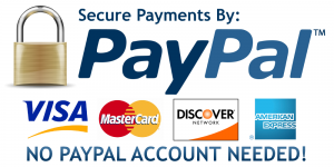Carte di credito accettate