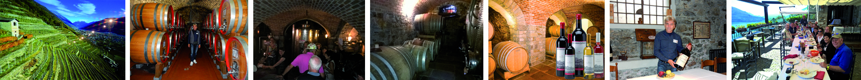 Tour enogatronomici