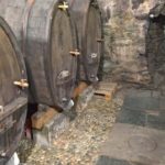 Bernina tour wine experience