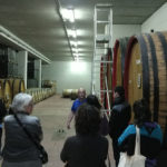 Possible guided visit to a local winery