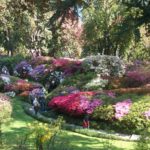 Villa Carlotta Giardini botanici