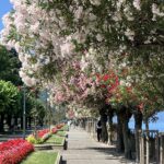 Bellagio