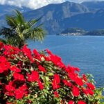 Bellagio view